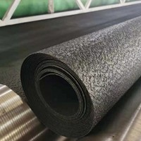 HDPE糙面土工膜