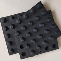 排水板
