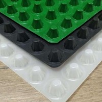 排水板
