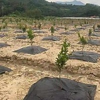 打孔防草布
