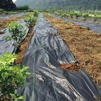 园林防草布