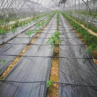 园林防草布