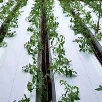 白色除草布