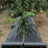 果园打孔防草布