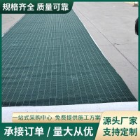 抗冲生物毯