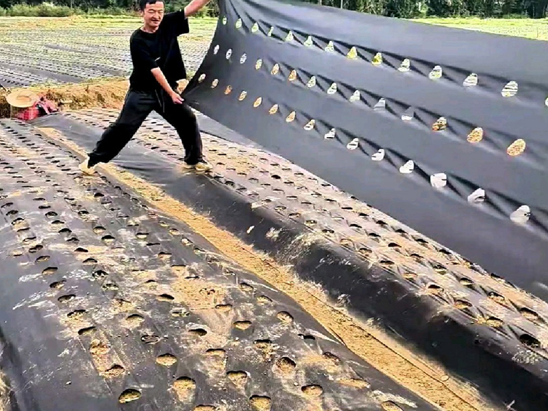 工程案例